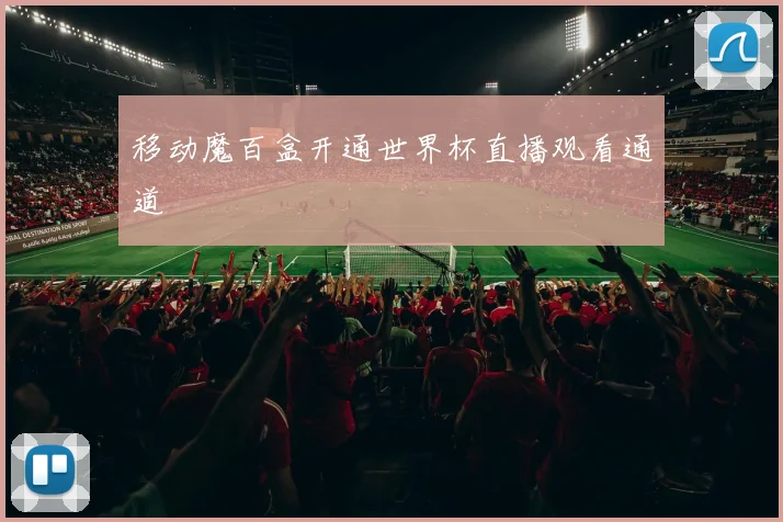 移动魔百盒开通世界杯直播观看通道
