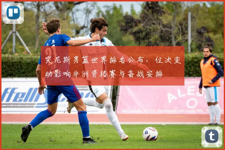突尼斯男篮世界排名公布，位次变动影响非洲资格赛与备战安排