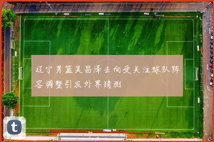 辽宁男篮吴昌泽去向受关注球队阵容调整引发外界猜测